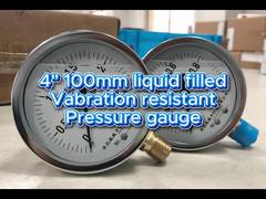 4" 100 mm 0~2,5 MPa/0~1 MPa Chromen behuizing en chromen rand,