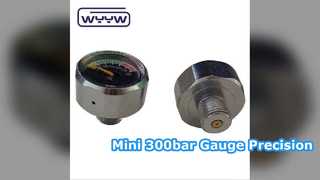 Mini 25 mm manometer voor PCP-pneumatiek