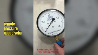 Uitlezing op afstand en manometers op afstand - Industriële bewakingsoplossingen