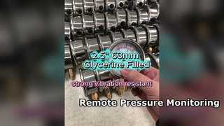 2,5" 63 mm roestvrijstalen kast, met glycerine gevuld