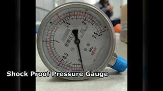 100 mm 4" ALLES RVS 0-2,5 MPa