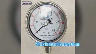 Hydraulische krikmanometer, schokbestendig