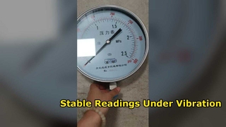 Shock Resistant 250mm Pressure Gauge for Industrial Use