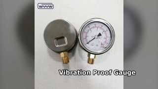 63 mm oliegevulde manometer modderpompoplossing