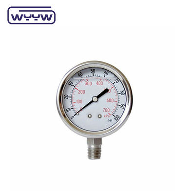 Silicone / glycerine vloeistof gevulde drukmeter 0-600 bar Aseismisch