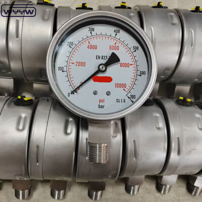 Siliconen Glycerine Gevulde Bezel Ring Manometer met 100mm Wijzerplaat en Onderste Aansluiting voor Industriële Toepassingen