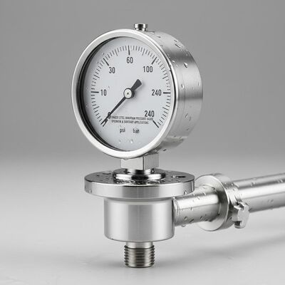 Stainless Steel Diaphragm Pressure Gauge met Diaphragm Seal Protection voor chemische en sanitaire toepassingen