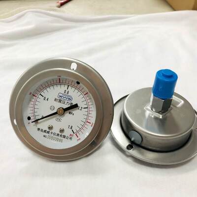 63mm 2,5 inch panel mount vloeistof gevulde schokbestendige drukmeter back flange roestvrij staal meter