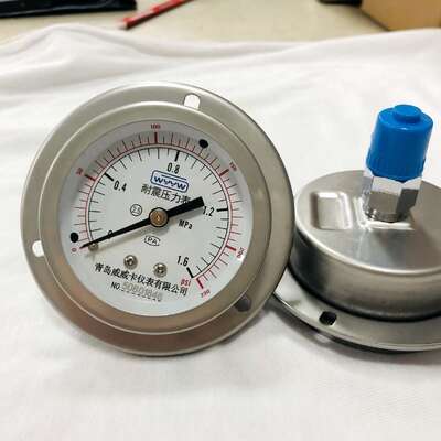 63mm 2.5 Inch Panel Mount Liquid Filled Shock Resistant Pressure Gauge | Back Flange Stainless Steel Gauge